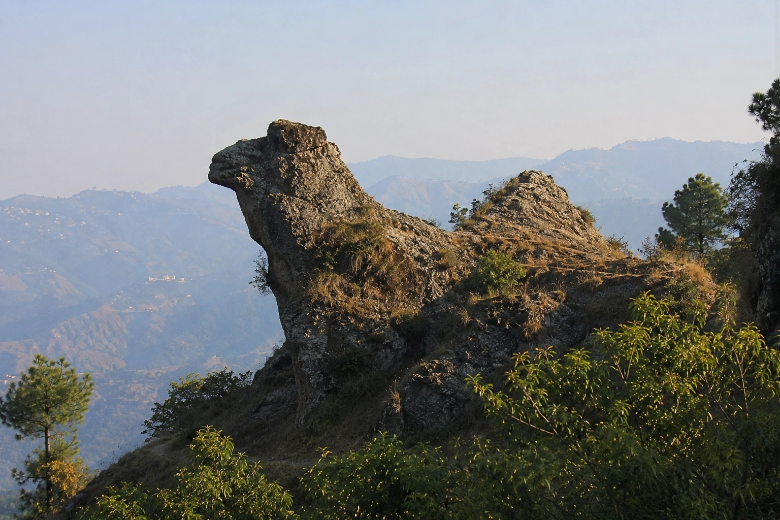 Camel-shaped rock at Camel's Back Road Mussoorie