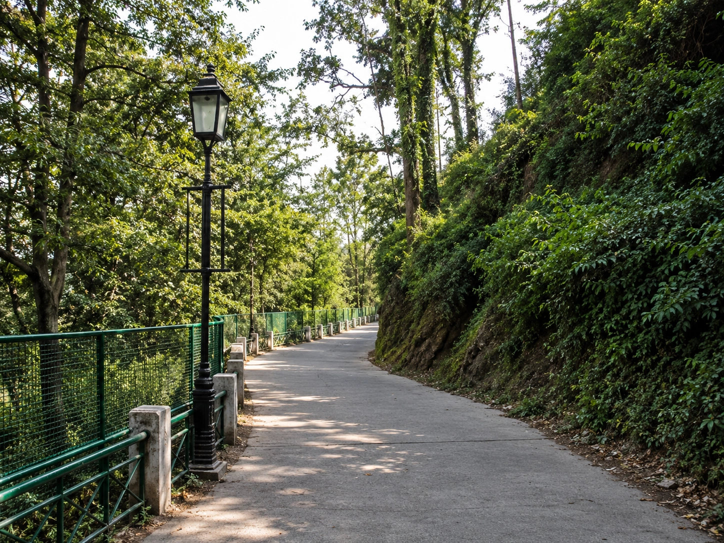 Scenic view of Camel's Back Road in Mussoorie with mountain views