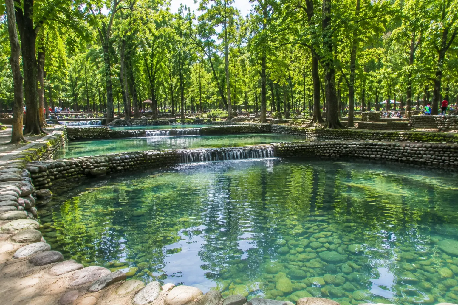 Water pools surrounded by greenery at Lachhiwala Nature Park