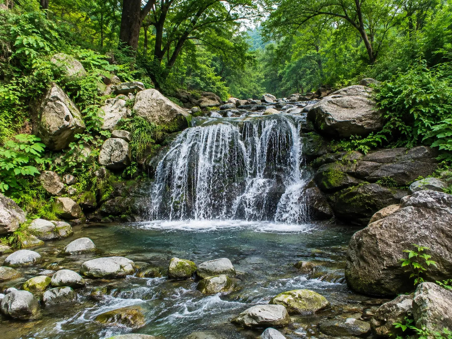 Waterfall surrounded by greenery at Maldevta near Dehradun
