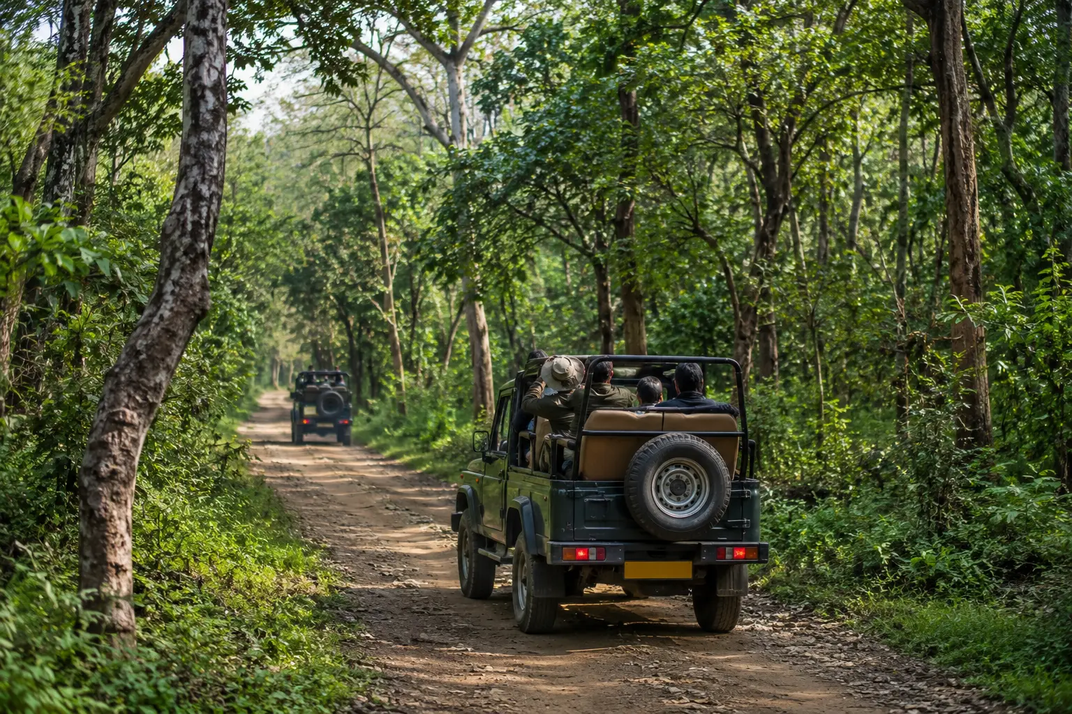Jeep safari travelling through Rajaji National Park forest